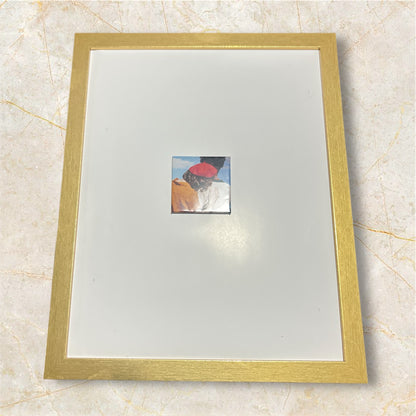 Magnetic Frame